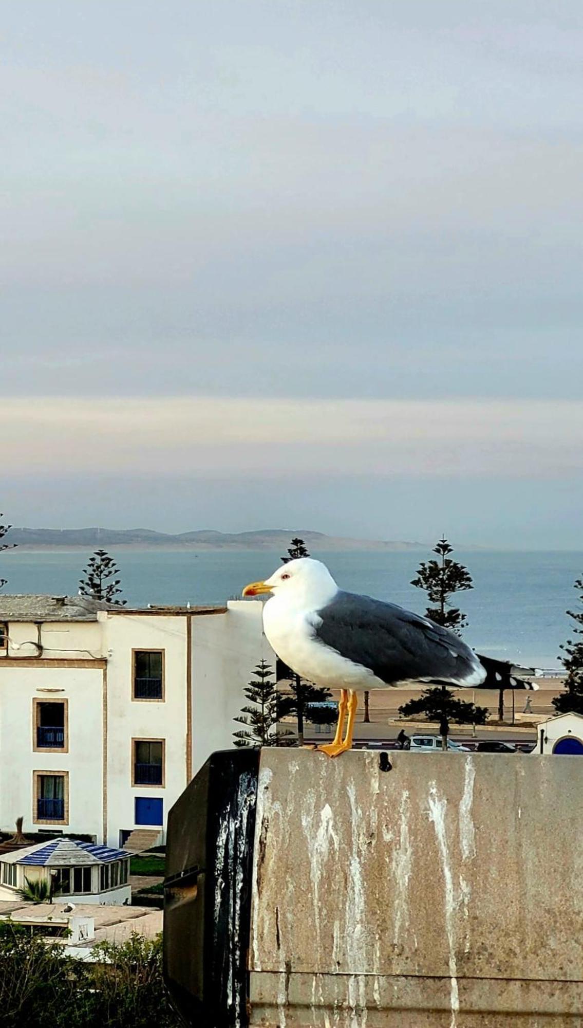 Riad Ocean Medina Essaouira Exterior foto